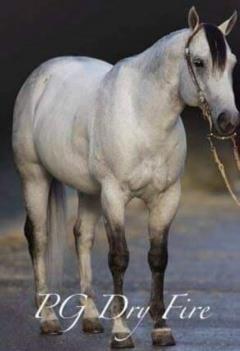 Sire